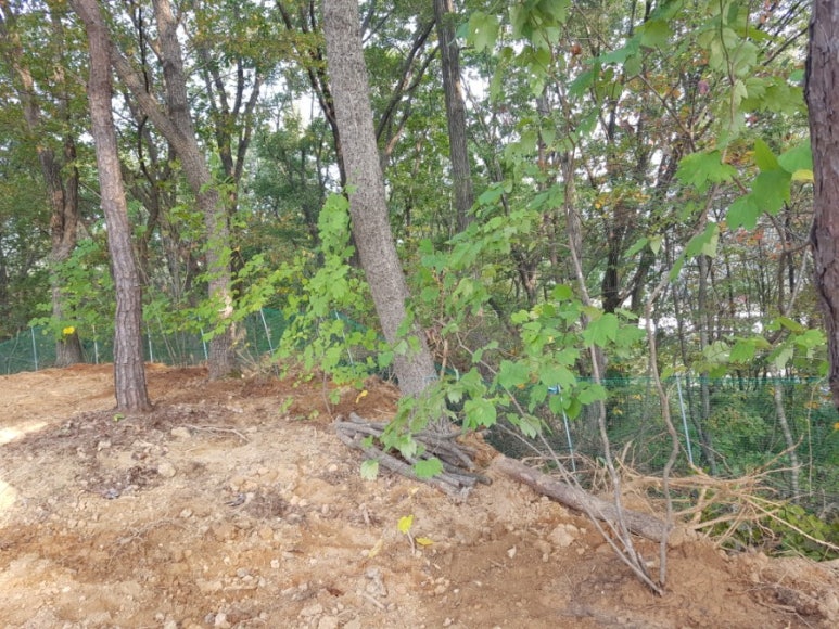 동산조경개발 이미지