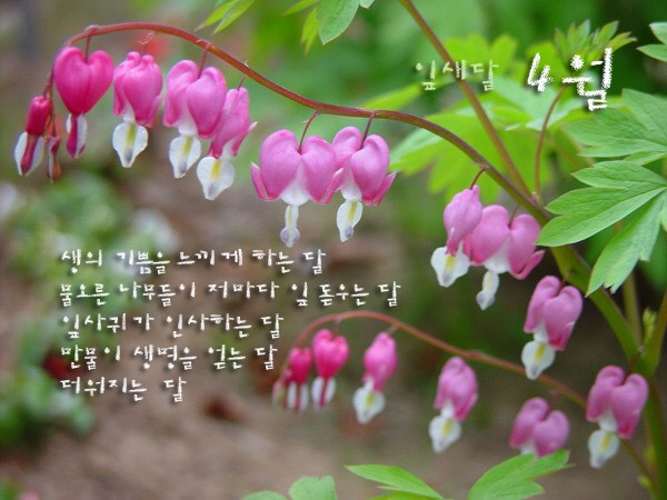 이시꾸네일 이미지