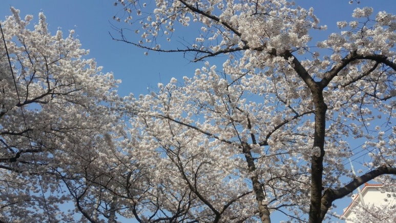 삼오모텔 이미지