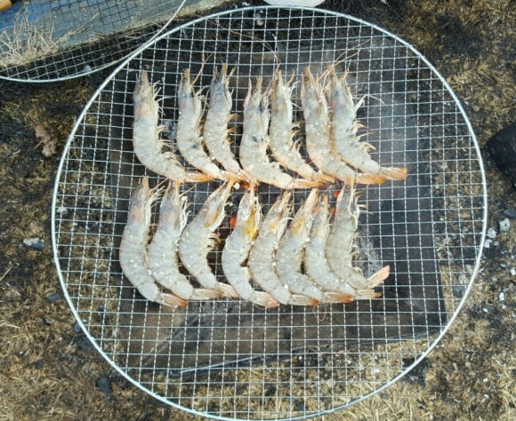 백련캠핑장 이미지