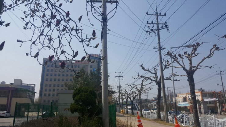 천사분평 이미지