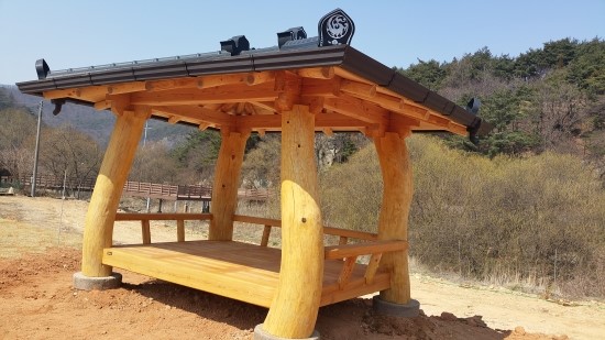느티나무야영장 이미지