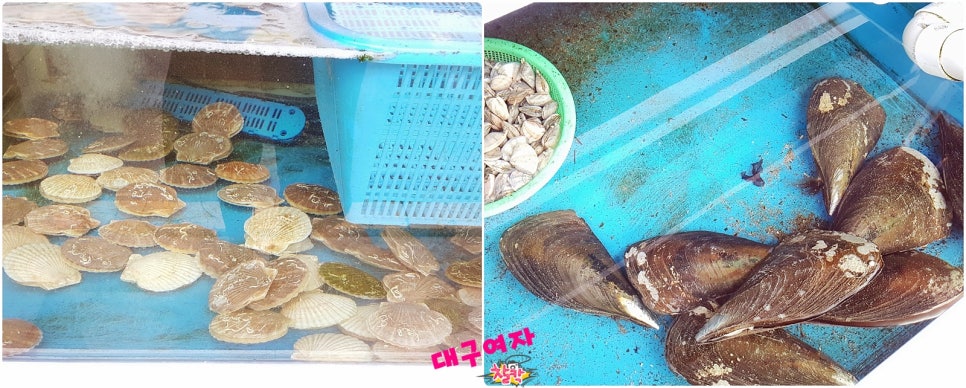 남촌해물찜 이미지