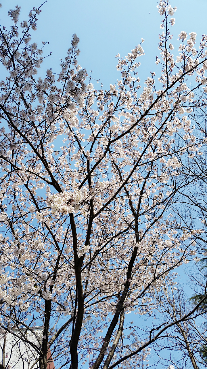 춘춘쭈꾸미 이미지