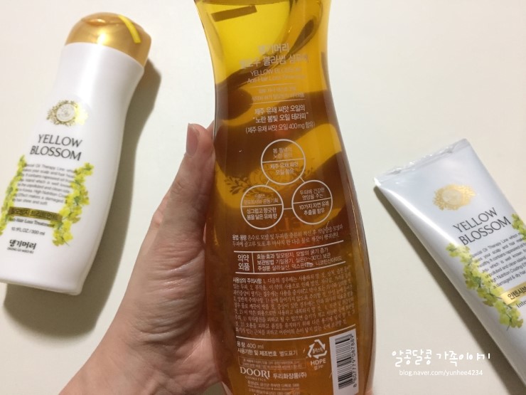 봄빛테라피 이미지