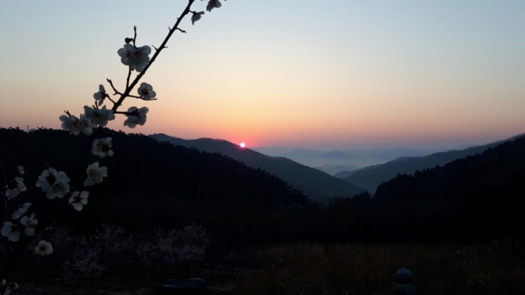 축령산휴림 이미지