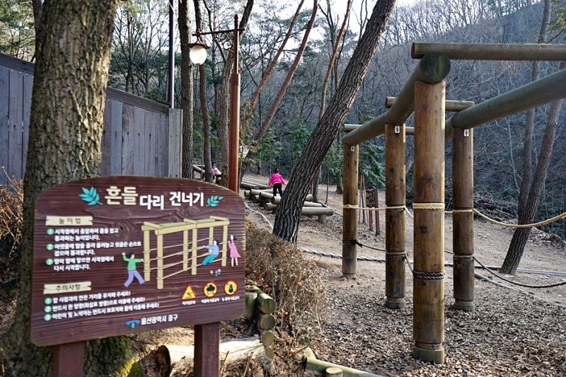 참나무숲오토캠핑장 이미지