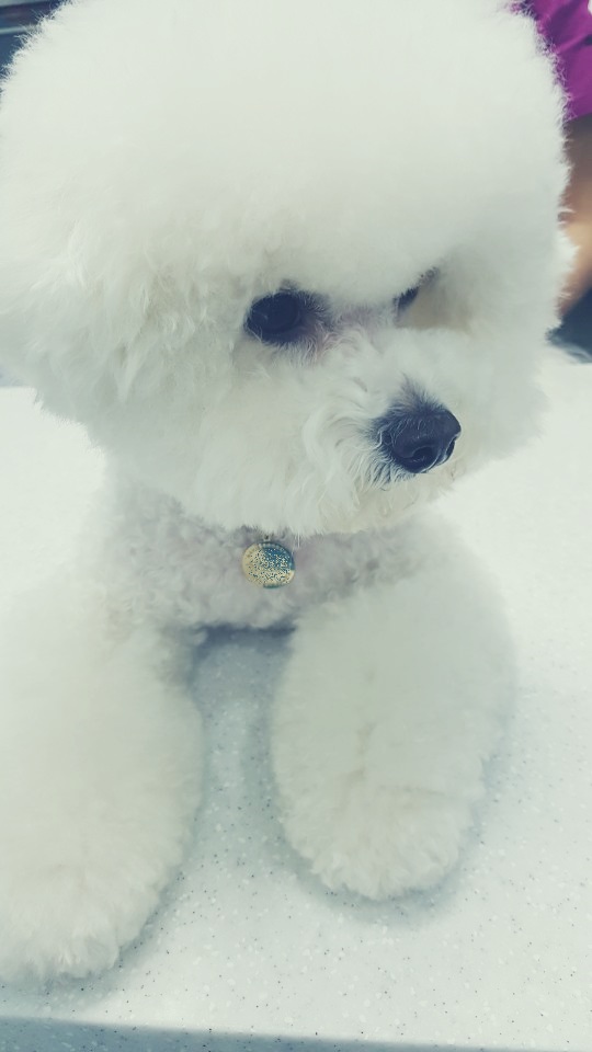송정나무병원 이미지
