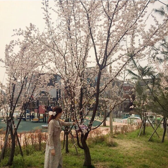 밀알꽃꽂이 이미지