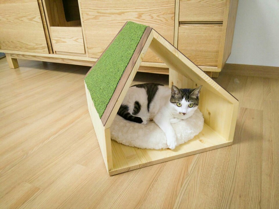 한스테크 이미지