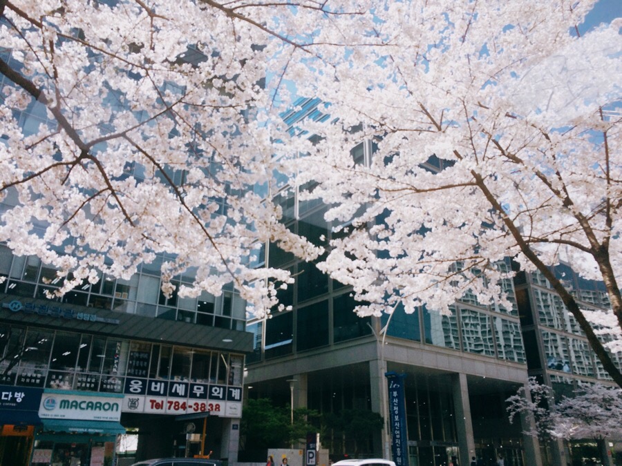 웅비세무회계 이미지