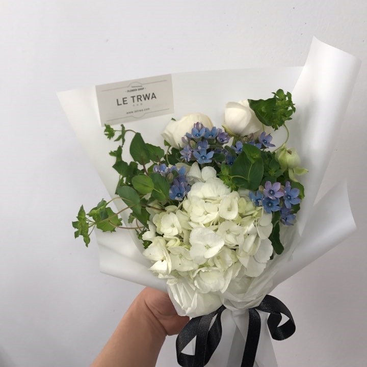 르트와 이미지