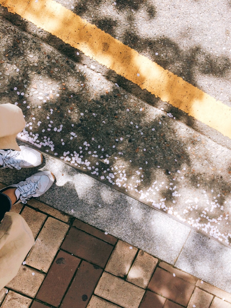 웅비세무회계 이미지