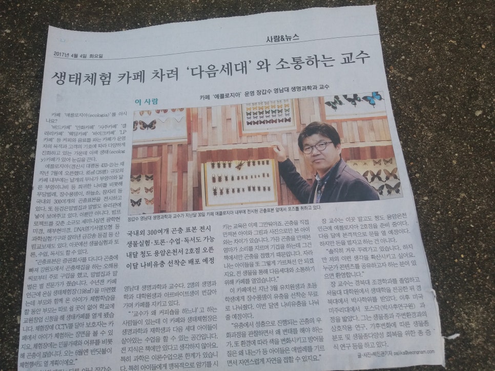 에콜로지아 이미지