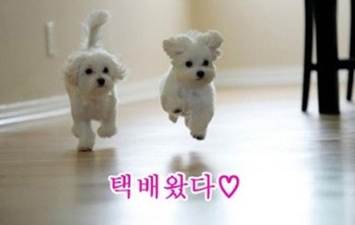 우리국수 이미지