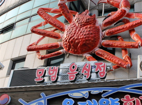 비블 이미지
