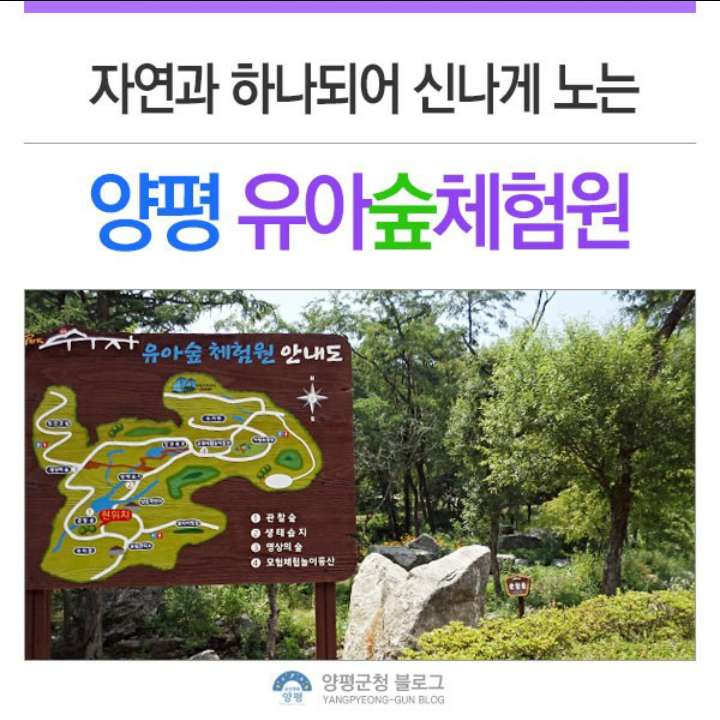 양평 유아숲체험원 이미지