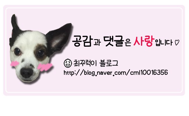 고천닭발 이미지