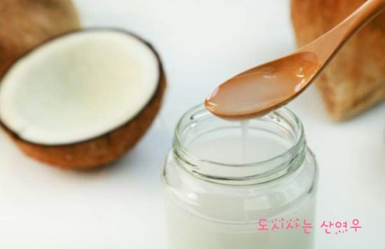 코코넛가든 이미지