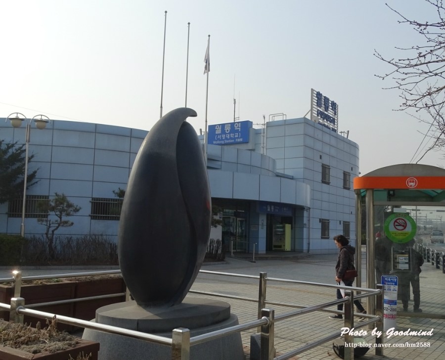 금승식당 이미지