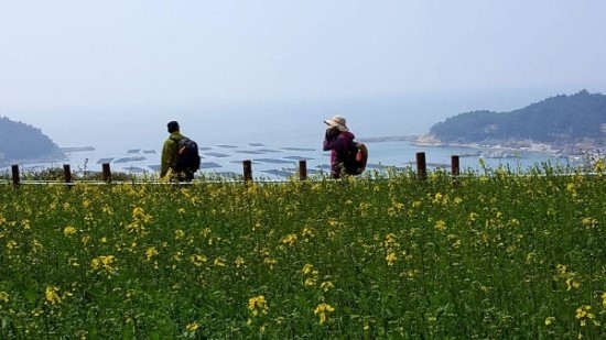 완동 이미지