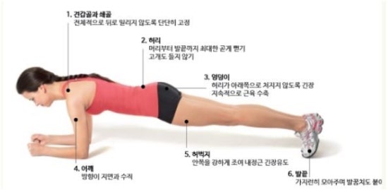 더리얼피티 이미지