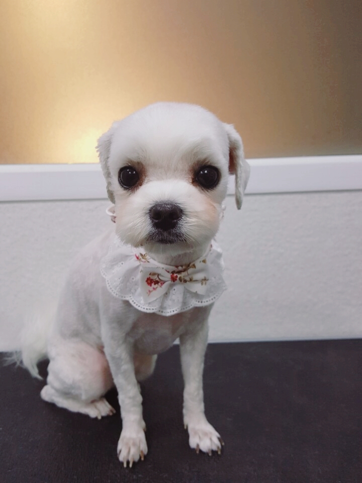 송정나무병원 이미지