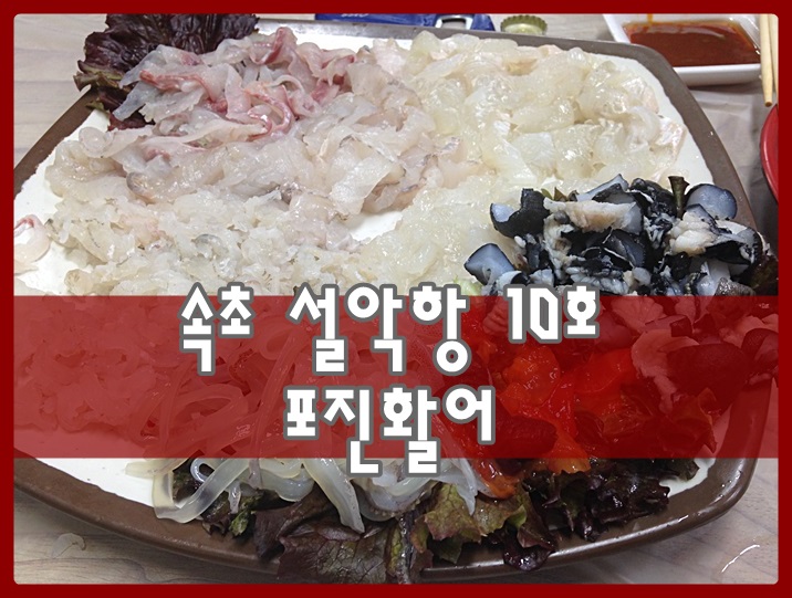 포진활어 이미지