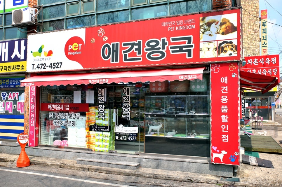 가위왕국 이미지