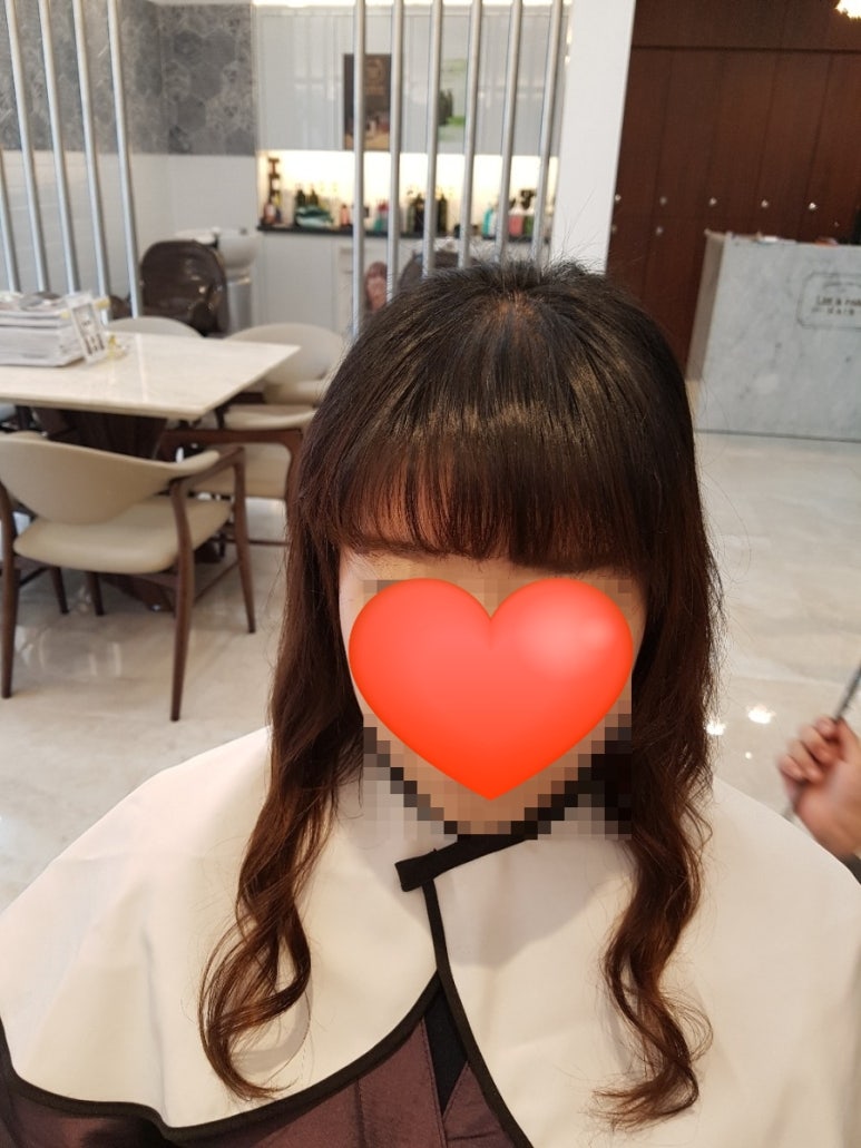 돌리고말리고 이미지