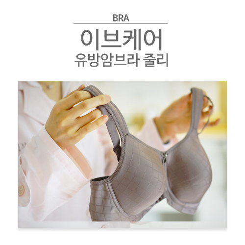 브라이브인 이미지
