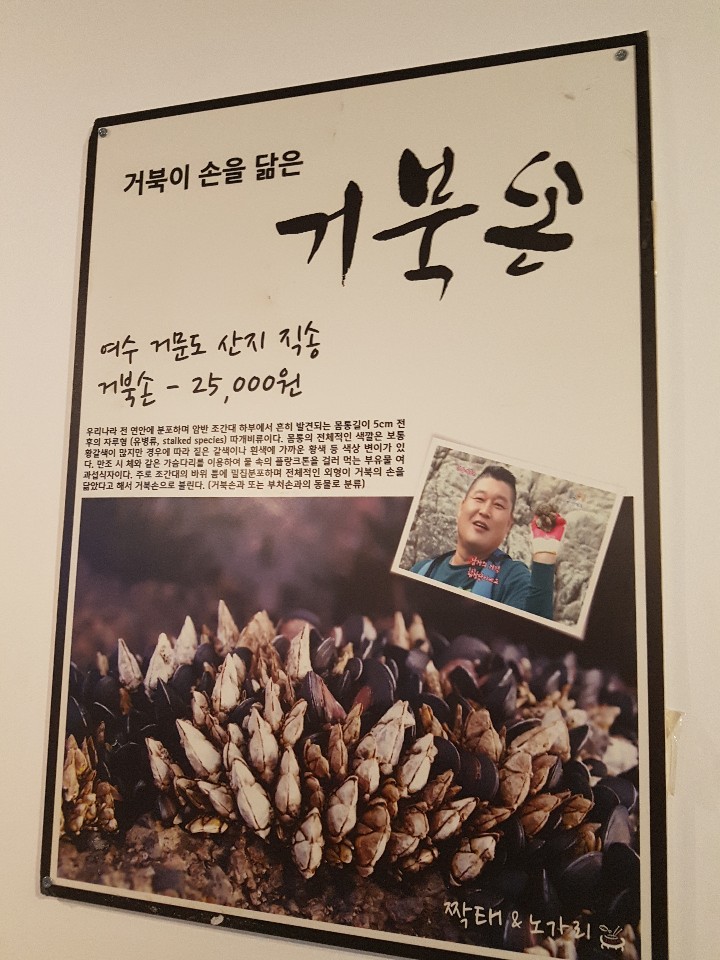 짝태앤노가리 이미지