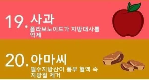 백프로식품 이미지