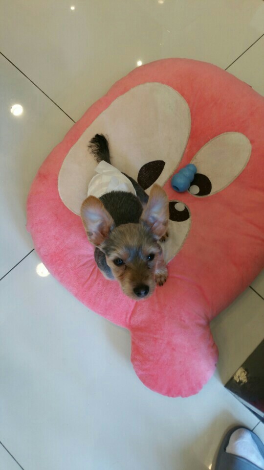 가야호텔주 이미지