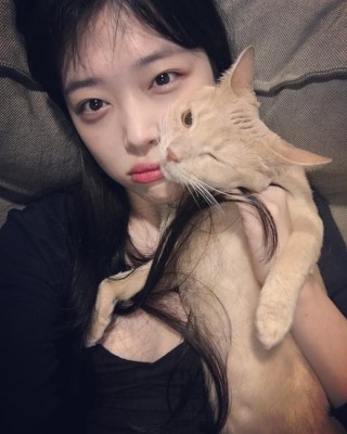 설레 이미지