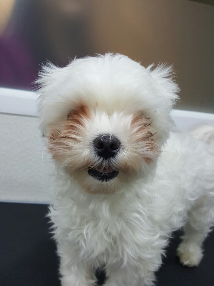 송정나무병원 이미지