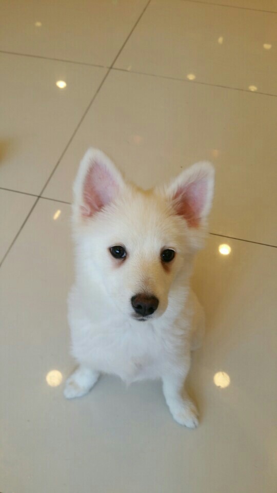 가야호텔주 이미지