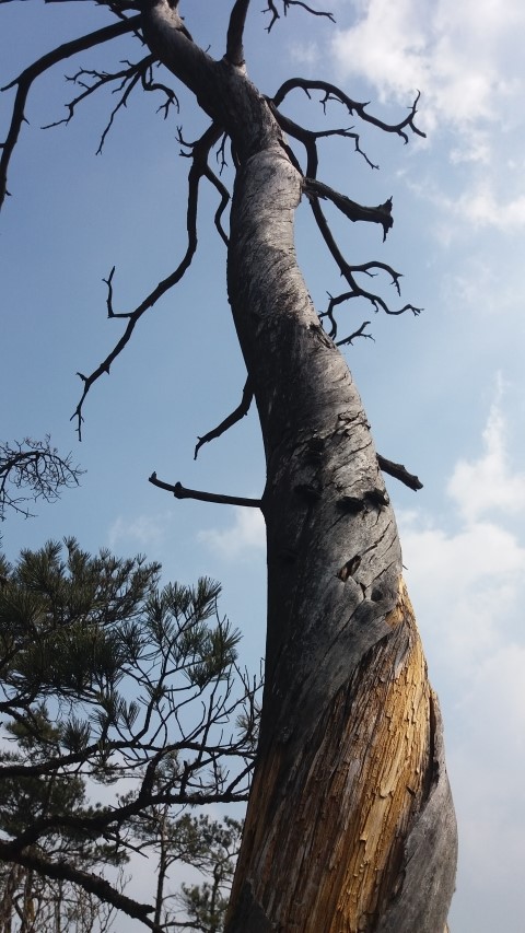 조령펜션 이미지