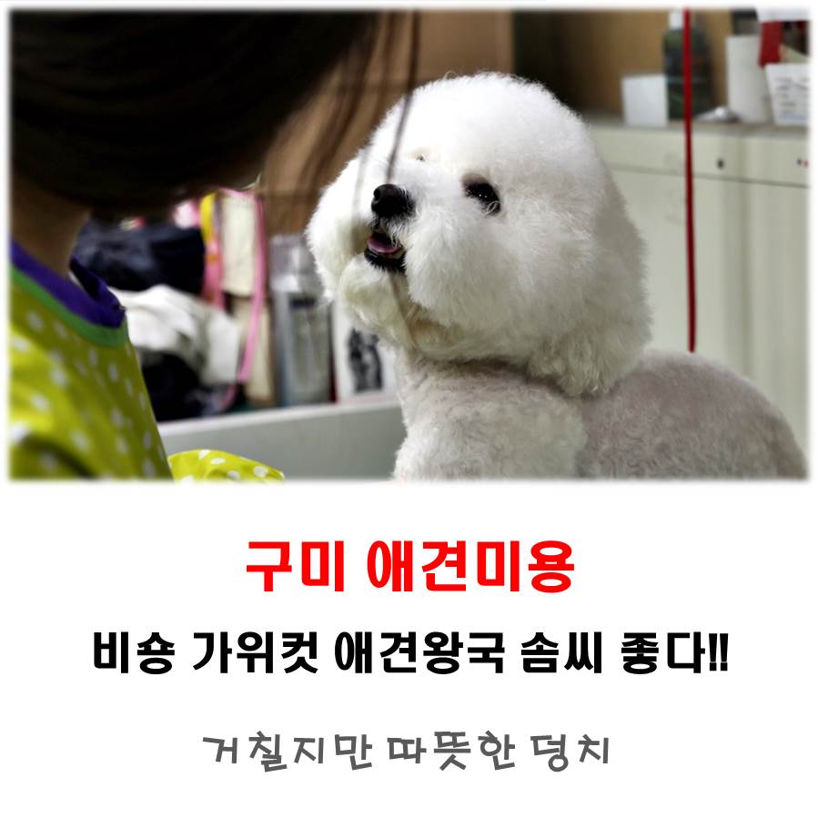 가위왕국 이미지