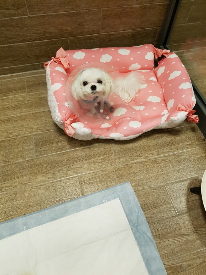 가야호텔주 이미지