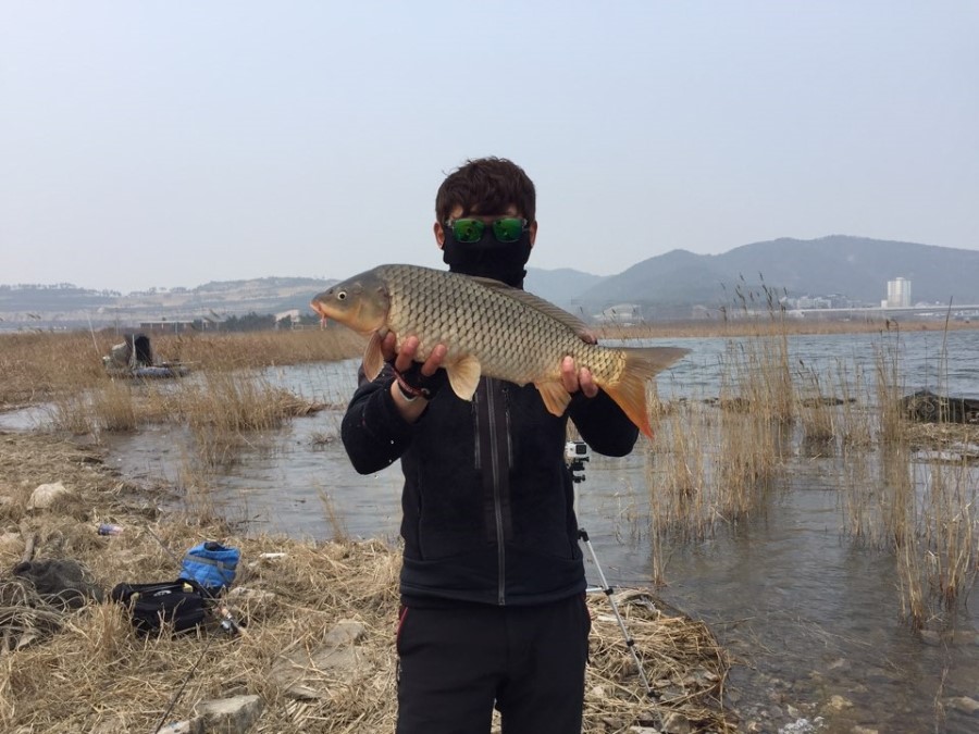 대산라인 이미지