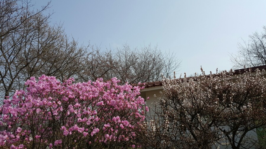 춤놀이문화연구소 이미지
