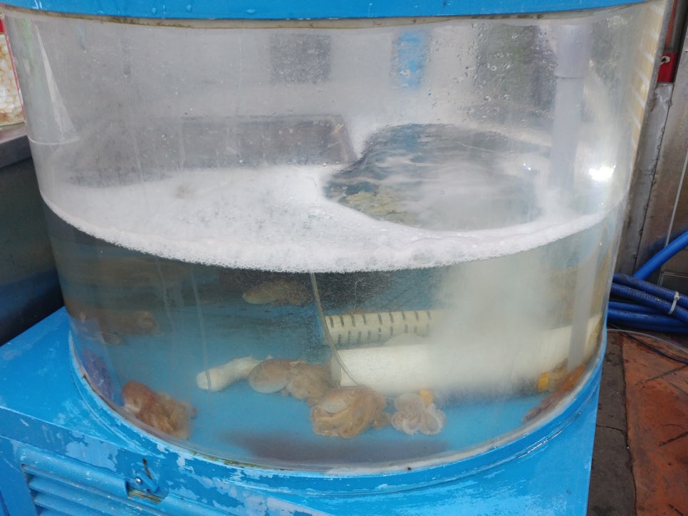 군산항회센타 이미지