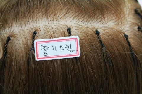헤어닥 이미지