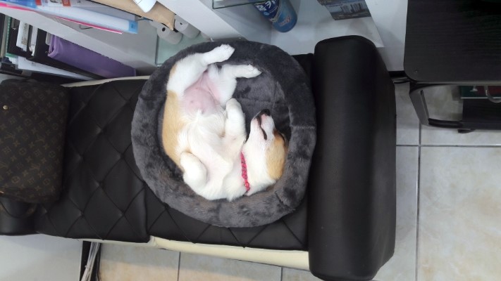 다현 헤어샵 이미지