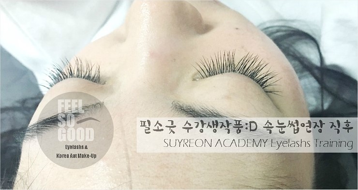 수련속눈썹 이미지