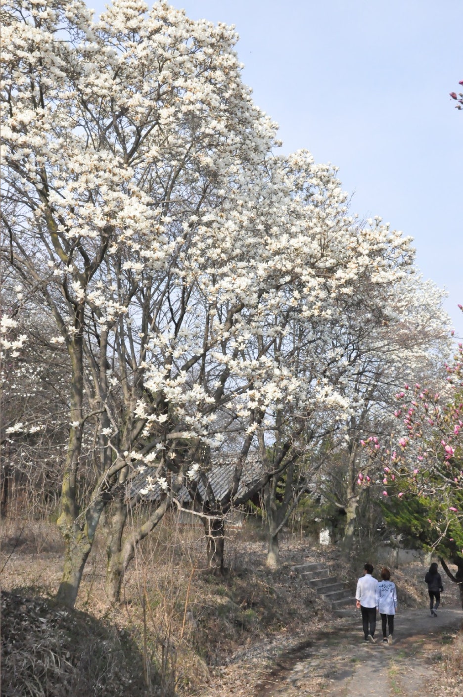 성민사 이미지