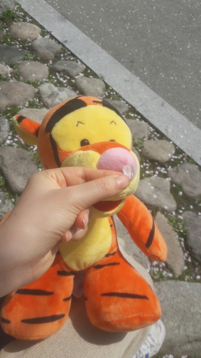 뽑아봅세 이미지