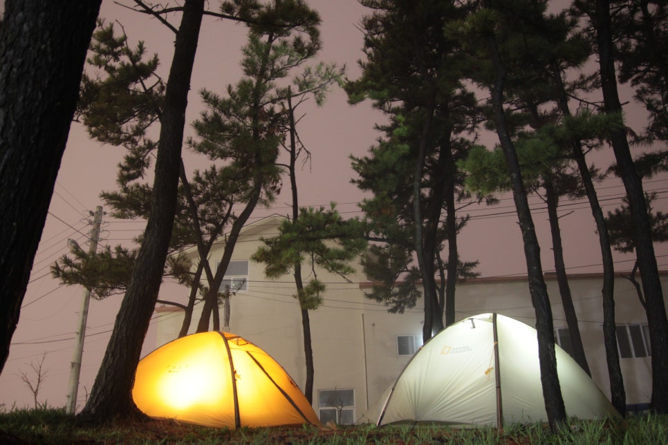 제주첫날두근 이미지