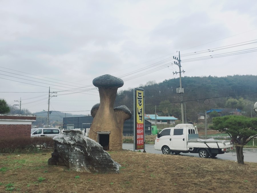 들녘칼국수 이미지